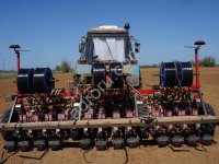 Стардаст семена лука репчатого