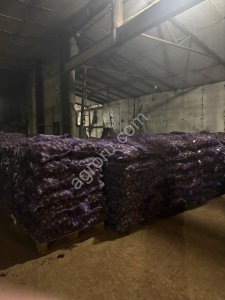 Картофель оптом Нижегородская область