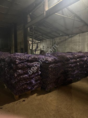 Картофель оптом Нижегородская область