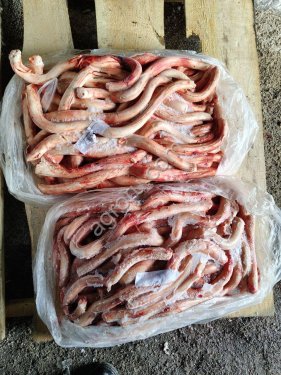 Субпродукты КРС