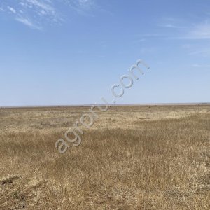 Земля, недвижимость, агротуризм