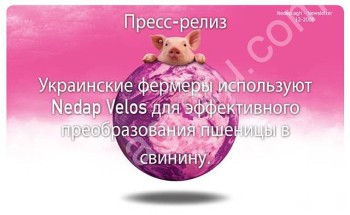Донецкие фермеры используют Nedap Velos для эффективного преобразования пшеницы в свинину