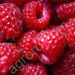 Малина свежая