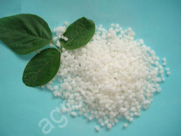 Аммиачная селитра