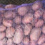 Картофель от КФХ