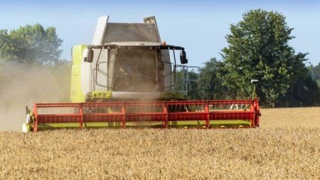 Россия в июле может экспортировать 2,6-2,7 млн тонн зерна - эксперт