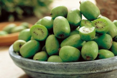 На европейских прилавках появился лысый киви