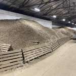 Картофель оптом