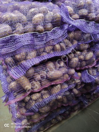 Картофель оптом. 2020г КФК Красный и белый 1 сорт