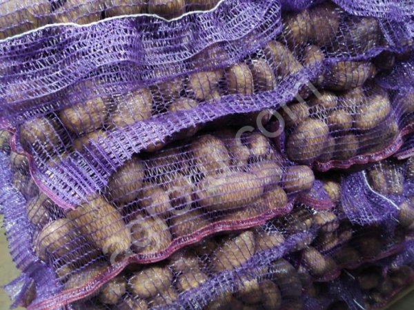 Картофель оптом. 2020г КФК Красный и белый 1 сорт