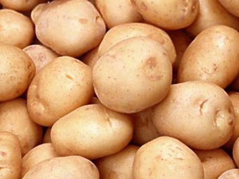 В Горном Алтае выращено 26,7 тыс. тонн картофеля