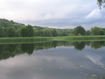 В Курске водная акватория реки Сейм подверглась опасности