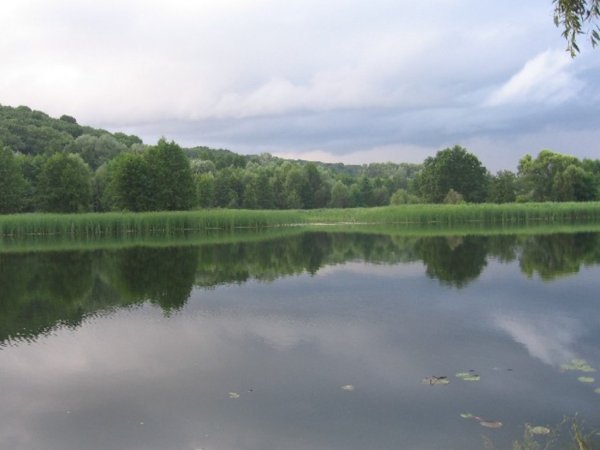 В Курске водная акватория реки Сейм подверглась опасности