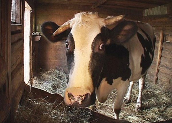 Требуется индустриальный подход