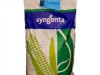 Семена кукурузы нк Термо от Syngenta