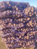 Гала 55+ оптом от роизводителя.