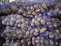 Картофель оптом 5+ от производителя!