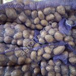 Картофель оптом 5+ от производителя!