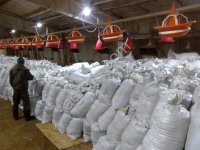 Удобрение на основе гусиного помета