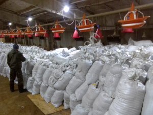 Удобрение на основе гусиного помета