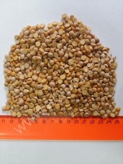 Нут половинки