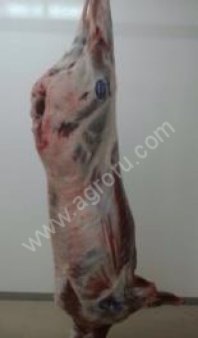 Оленина в тушах