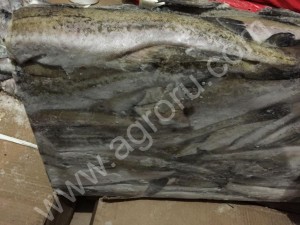 Рыба свежемороженая, стейки рыбные, филе рыбное, морепродукты оптом.