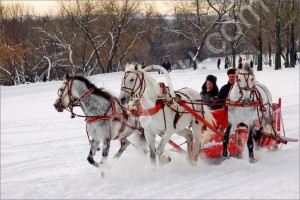 Упряжь для лошади
