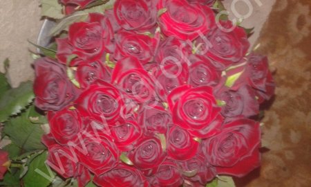 роза оптом