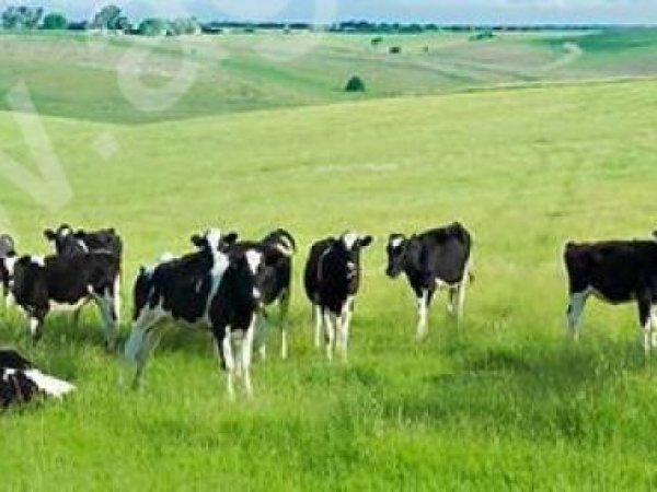 Сельхозпредприятие