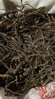 Лапчатка белая, корень