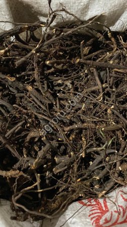 Лапчатка белая, корень