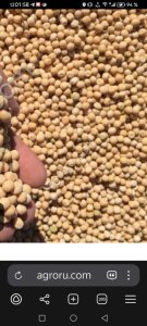 Лен, горох, жом