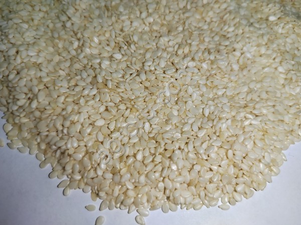 Кунжут