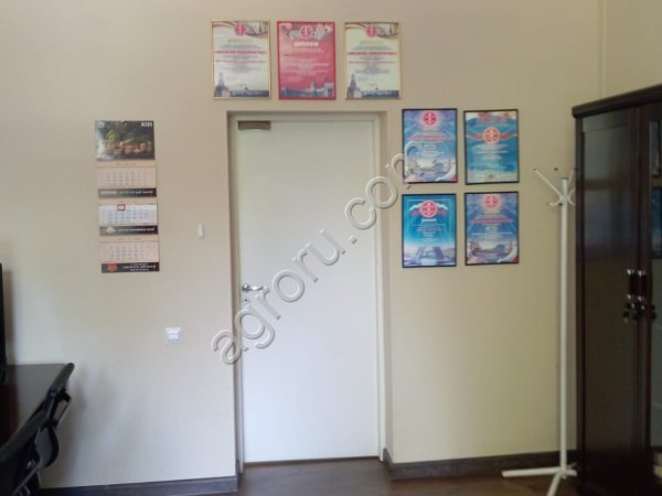 Консервы мясные, рыбные, каши.