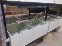 Инкубационный модуль для ракообразных