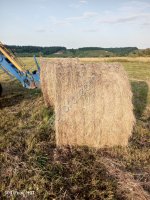 Сено луговое разнотравье