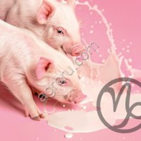 Йогурт сухой «Капилакт Б» для поросят с 4 по 14 день жизни