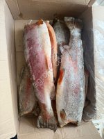 Форель радужная ПБГ 2, 2+