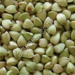 Зеленая гречка