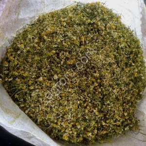 Ромашка аптечная, цветок