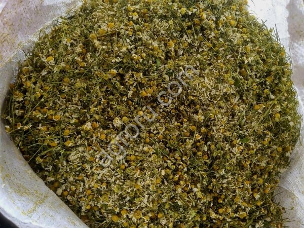 Ромашка аптечная, цветок