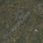 Земли с/х назначения в аренду