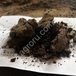 ЖМЫХ ПОДСОЛНЕЧНЫЙ