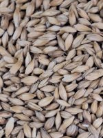 Солод ячменный светлый