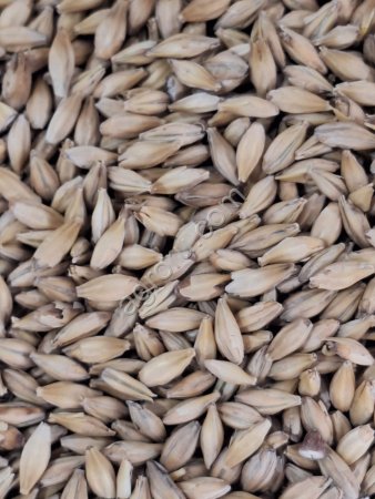 Солод ячменный светлый