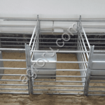 Окотные боксы для овцематок и ягнят