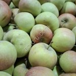 Яблоки второго сорта.