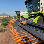 Агрокомплекс