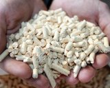 Топливные пеллеты из хвои